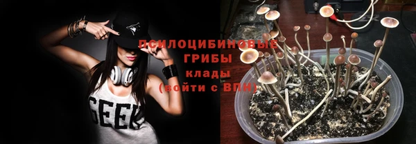 ГАЛЛЮЦИНОГЕННЫЕ ГРИБЫ Арсеньев