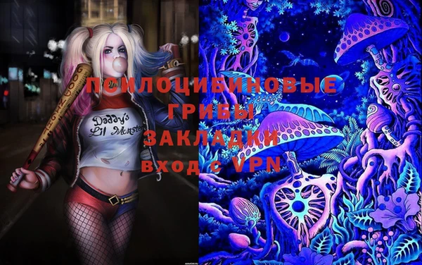 хмурый Алексеевка