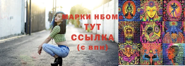 ГАЛЛЮЦИНОГЕННЫЕ ГРИБЫ Арсеньев