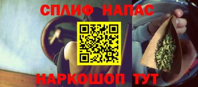 ALPHA PVP Гатчина