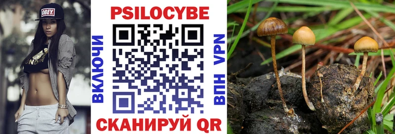 цены наркотик Нефтекумск Галлюциногенные грибы Cubensis