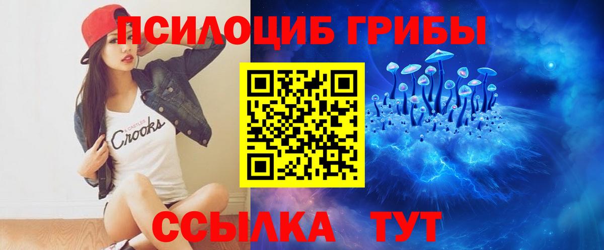 Нефтекумск  Псилоцибиновые грибы Psilocybe  Галлюциногенные грибы прущие грибы  Вход с VPN 