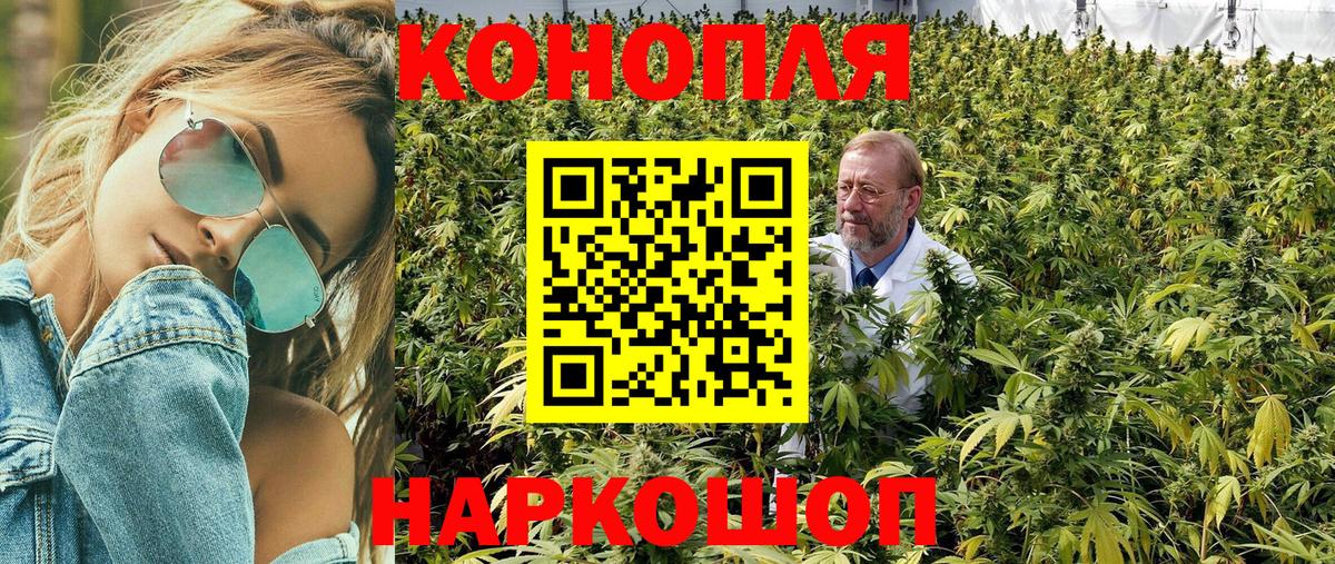 Канабис SATIVA & INDICA Нефтекумск